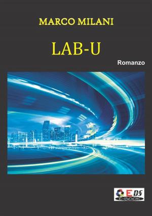 Cover of the book Lab-U L'accesso by Marco Milani