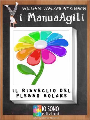 Book cover of Il risveglio del plesso solare