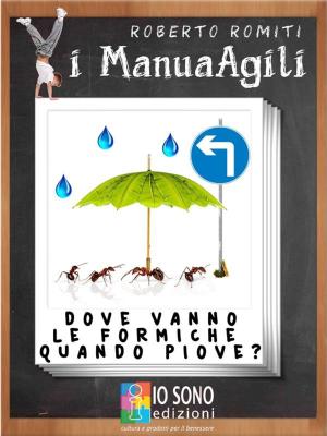 Cover of the book Dove vanno le formiche quando piove by Jude Currivan, Ph.D.
