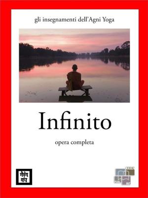Cover of the book Infinito by Fulcanelli