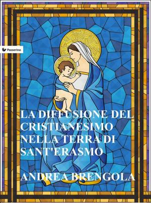 Cover of the book La diffusione del Cristianesimo nella terra di Sant'Erasmo by Plato