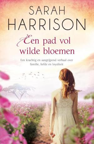 Book cover of Een pad vol wilde bloemen