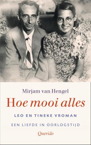 Cover of the book Hoe mooi alles by Seppe van Groeningen