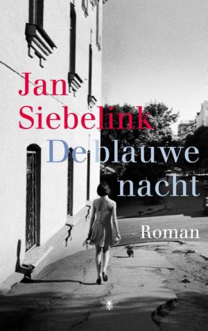Cover of the book De blauwe nacht by Youp van 't Hek