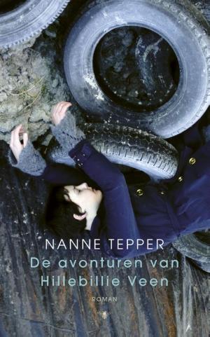 Cover of the book De avonturen van Hillebillie Veen by Maarten Meijer