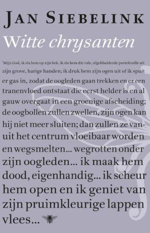 Cover of the book Witte chrysanten by Cees Nooteboom