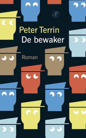 Cover of the book De bewaker by Georges Simenon