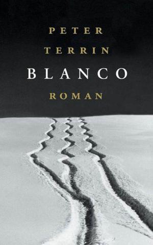 Cover of the book Blanco by Kees van Beijnum