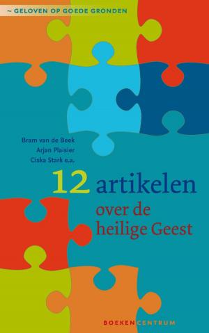 Cover of the book 12 artikelen over de Heilige Geest by Ria van der Ven-Rijken