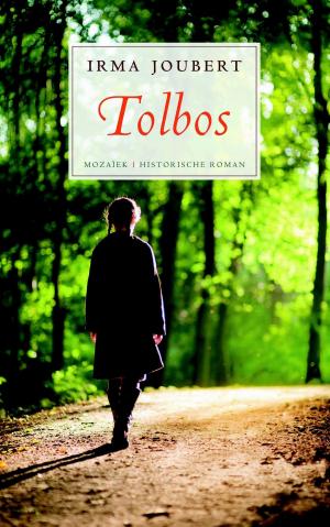 Cover of the book Tolbos by Natasha Pulley
