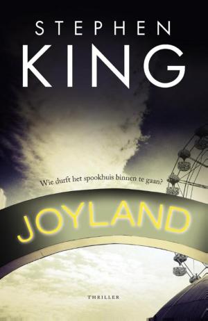 Cover of the book Joyland by James Corey