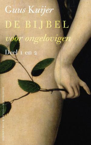 Cover of the book De Bijbel voor ongelovigen by Henning Mankell