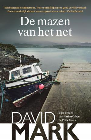 Cover of the book De mazen van het net by Nico van der Voet