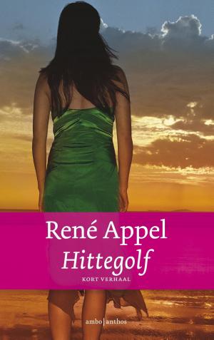 Cover of the book Hittegolf by Julio C. Jeraldino