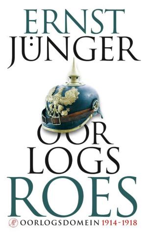 Cover of the book Oorlogsroes by J. Bernlef