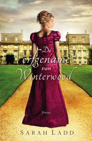 Cover of the book De erfgename van Winterwood by Evelien van Dort