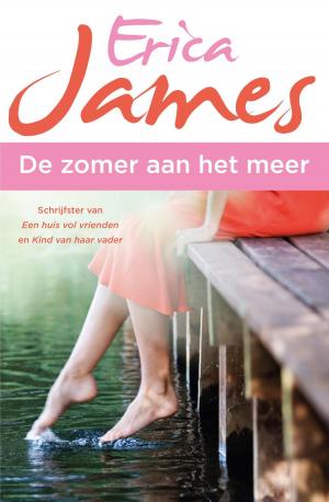 Cover of the book De zomer aan het meer by A.C. Baantjer