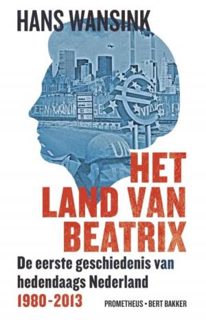 Cover of the book Het land van Beatrix by Arie Storm