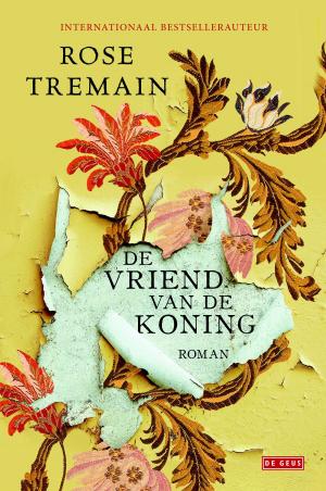 Cover of the book De vriend van de koning by Jolien Janzing