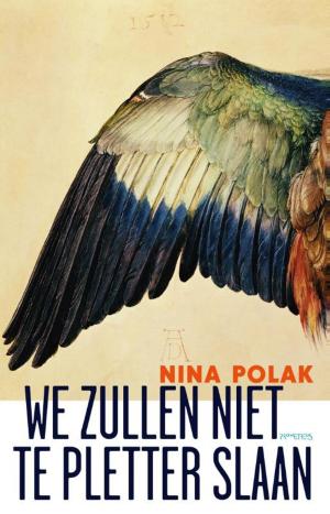 Cover of the book We zullen niet te pletter slaan by Iris Sommer