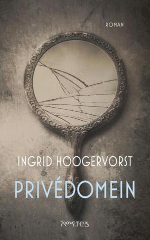Cover of the book Privédomein by Cecelia Ahern