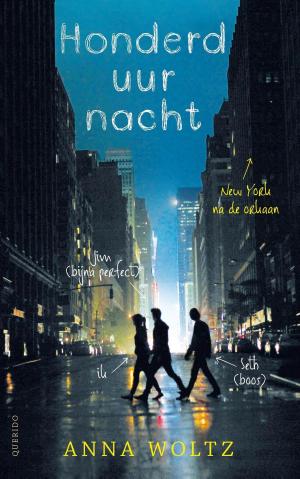 Cover of the book Honderd uur nacht by Bart Moeyaert