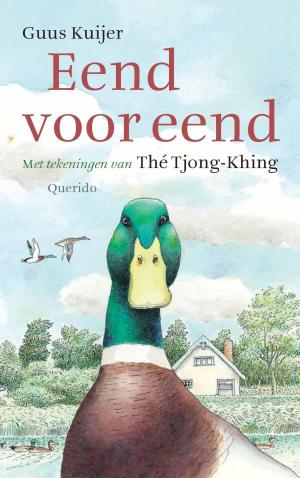 Cover of the book Eend voor eend by Toon Tellegen