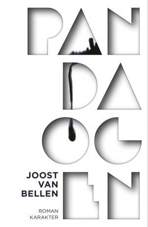 Cover of the book Pandaogen by Marion van de Coolwijk