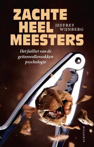 Cover of the book Zachte heelmeesters by Jeffrey Wijnberg