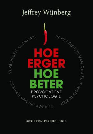 Cover of the book Hoe erger, hoe beter by Jeffrey Wijnberg