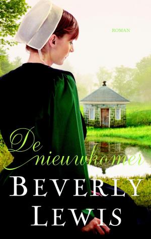 Cover of the book De nieuwkomer by Finn Zetterholm
