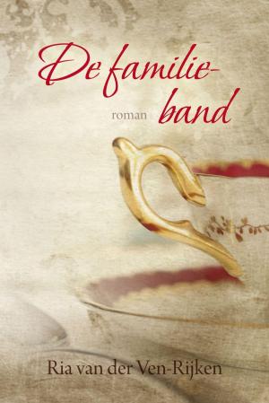 Cover of the book De familieband by Mel Wallis de Vries