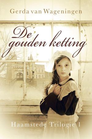 Cover of the book De gouden ketting by Erica Ridley