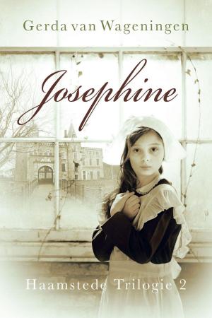 Cover of the book Josephine by Reina Crispijn