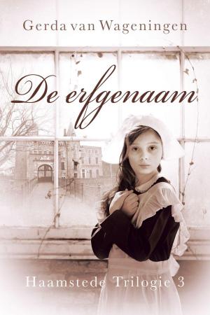 Cover of the book De erfgenaam by Ietje Liebeek-Hoving