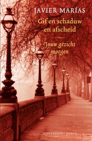 Cover of the book Jouw gezicht morgen by Kristin Gleeson