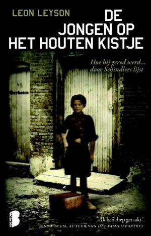 Cover of the book De jongen op het houten kistje by Stephen Kirkaldy