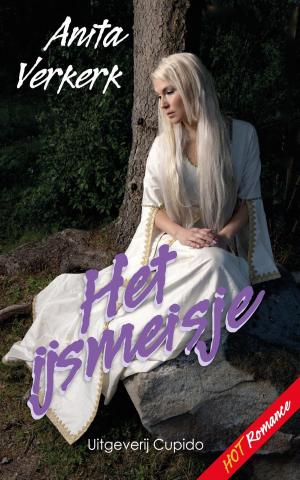 Cover of the book Het ijsmeisje by Anita Verkerk