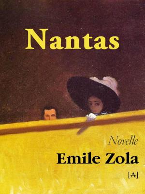 Cover of the book Nantas by Eric van den Berg