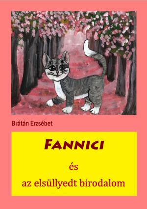 Cover of the book Fannici és az elsüllyedt birodalom by Brátán Erzsébet
