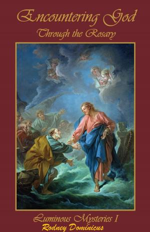 Cover of the book Encountering God Through Rosary by SP Toh