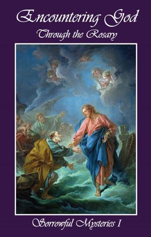 Cover of the book Encountering God Through Rosary by Jonathan Goh