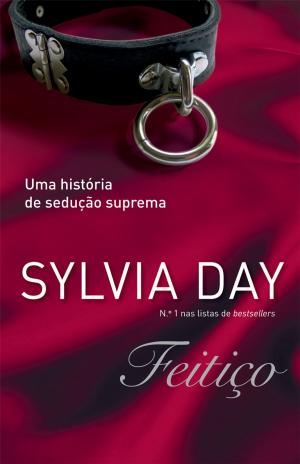 Cover of the book Feitiço by Jennifer Armentrout