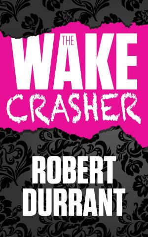Cover of the book The Wake Crasher by Steve Mayhew