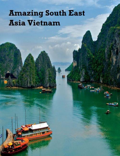 Cover of the book Amazing South East Asia: Vietnam by V.T., V.T.