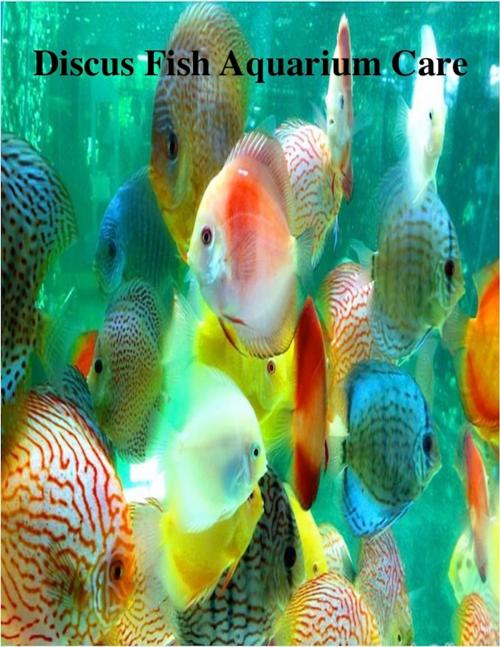 Cover of the book Discus Fish Aquarium Care by V.T., V.T.