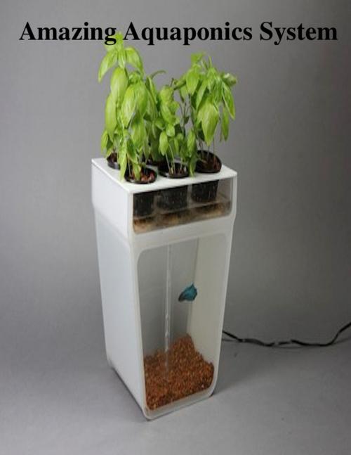 Cover of the book Amazing Aquaponics System by V.T., V.T.