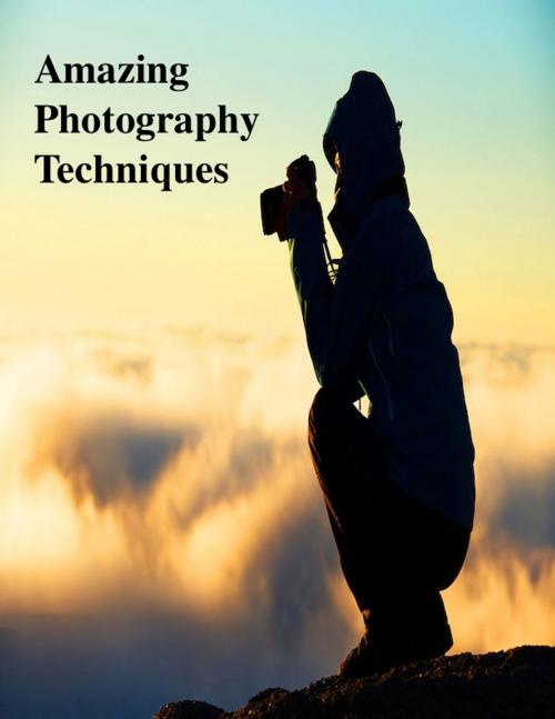 Cover of the book Amazing Photography Techniques by V.T., V.T.
