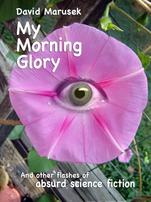 Cover of the book My Morning Glory by David Marusek, General Genius LLC