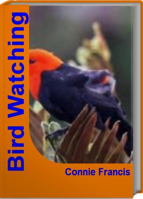 Cover of the book Bird Watching by Connie Francis, Tru Divine Publishing